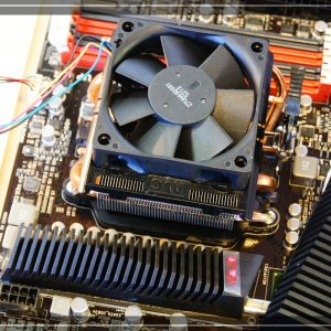 CPU mit Kühler a