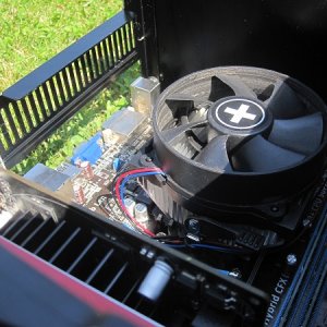 IMG 0513