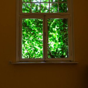 Fenster Verwaltung Papierfabrik 1 25 10 15