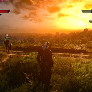 witcher3