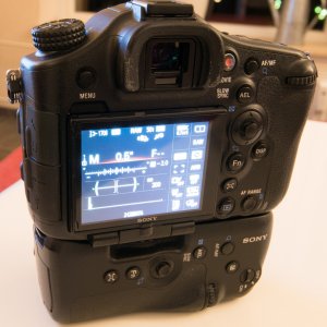 Sony A 99 (I) 2