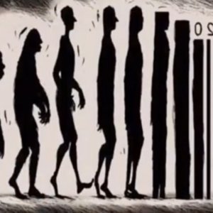 Human
