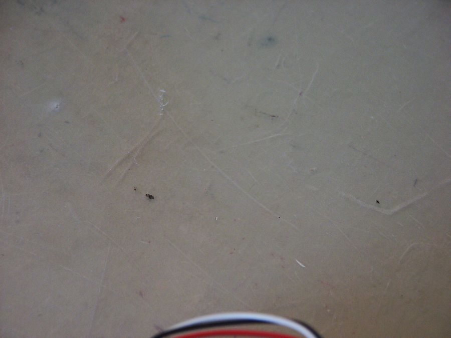 das war nix