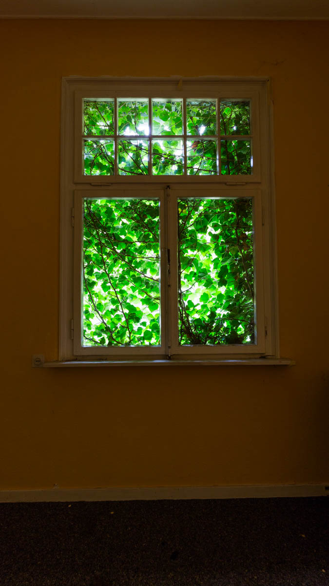 Fenster Verwaltung Papierfabrik 1 25 10 15