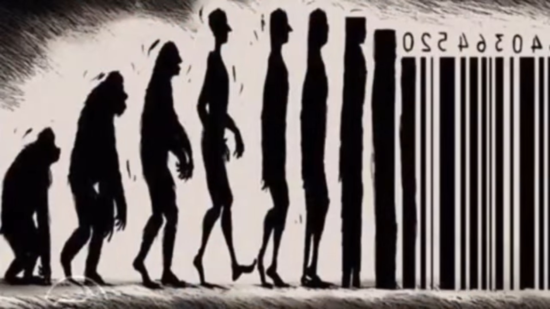 Human