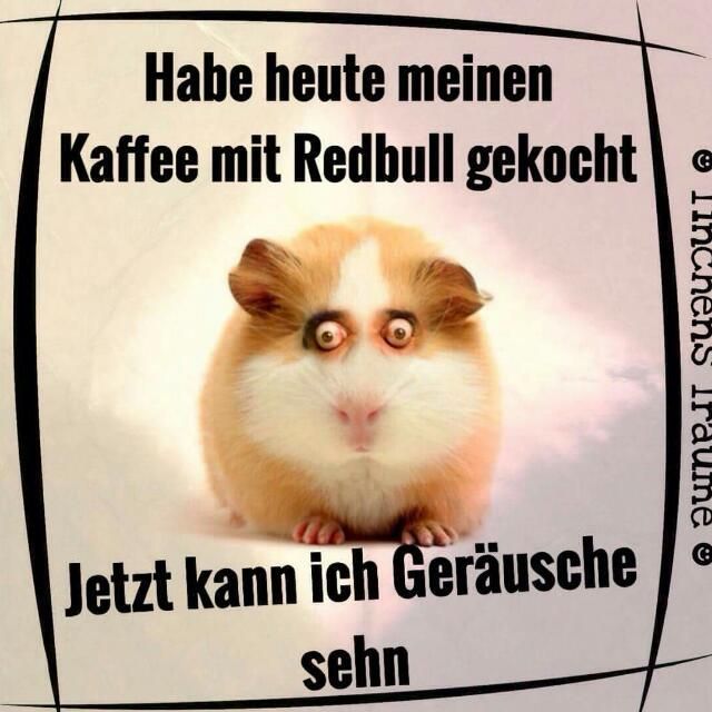 Kaffee mit Redbull gekocht