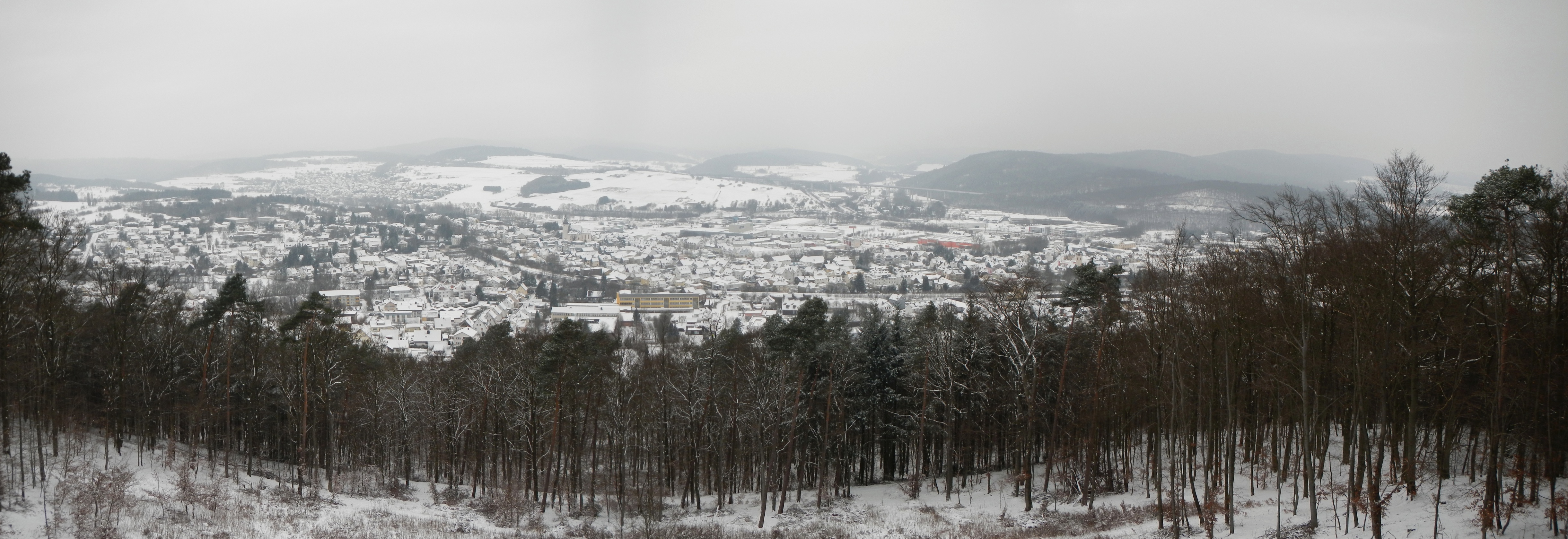 Panoramabild meiner Heimat im Winter